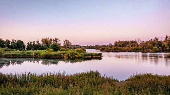 Natuurgebied Molsbroek bij Lokeren